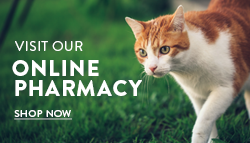 Online Pharmacy